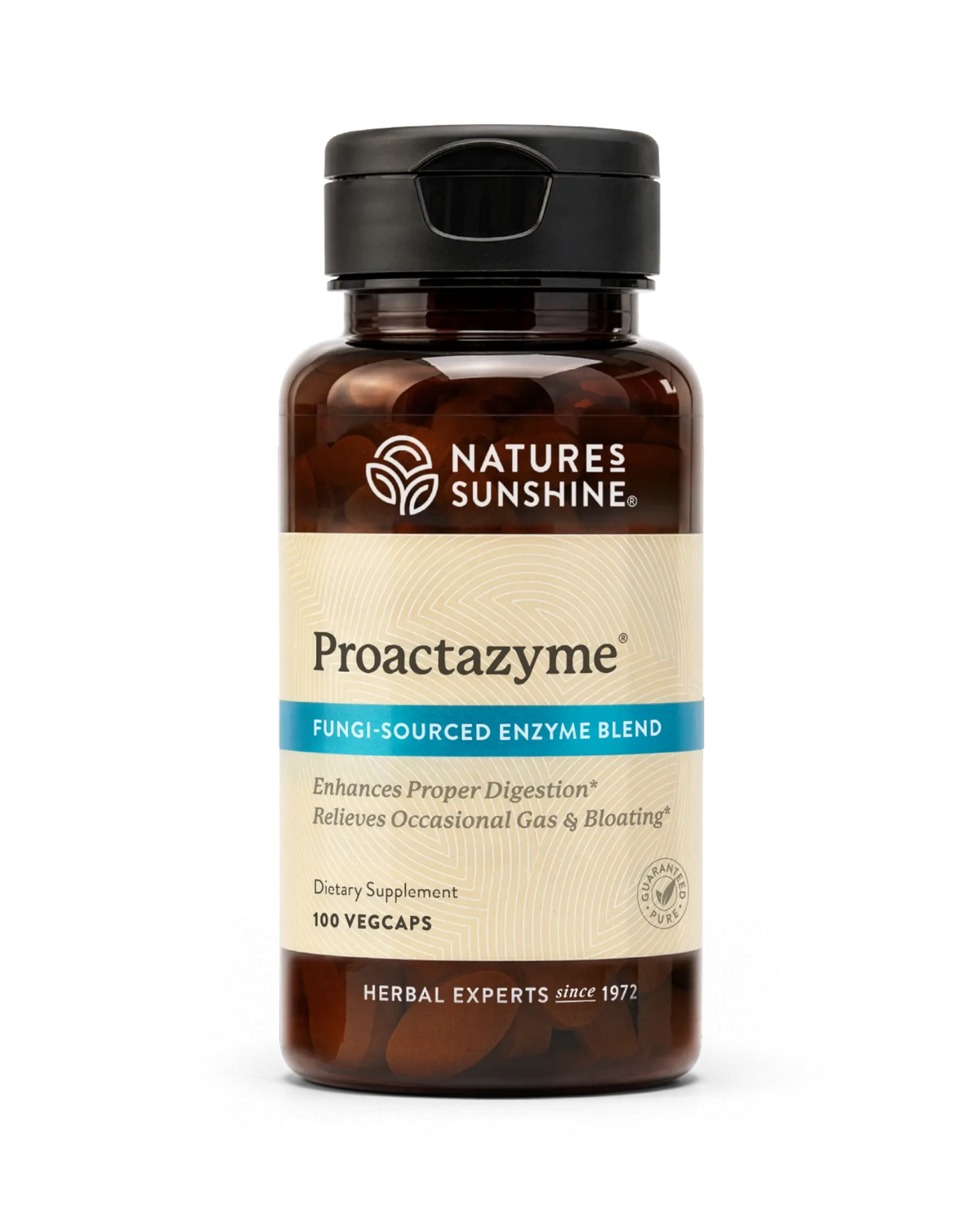 Nature's Sunshine Proactazyme Fungi-Sourced Enzyme Blend in a dark amber bottle with a black cap and beige label, containing 100 vegcaps.
