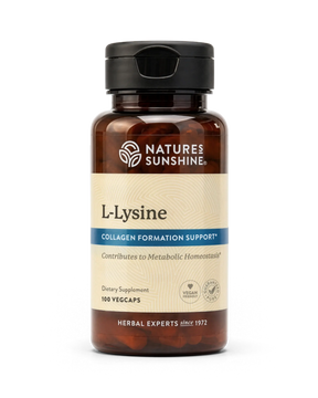 A bottle of Natures Sunshine L-Lysine dietary supplement with a black cap and a beige label, containing 100 vegcaps.