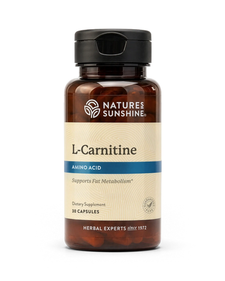 A bottle of Nature's Sunshine L-Carnitine dietary supplement, containing 10 capsules, shown on a clean white background.