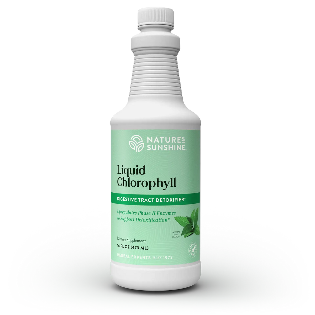 A white plastic bottle of Nature's Sunshine Liquid Chlorophyll dietary supplement with a light green label, shown on a clean white background.