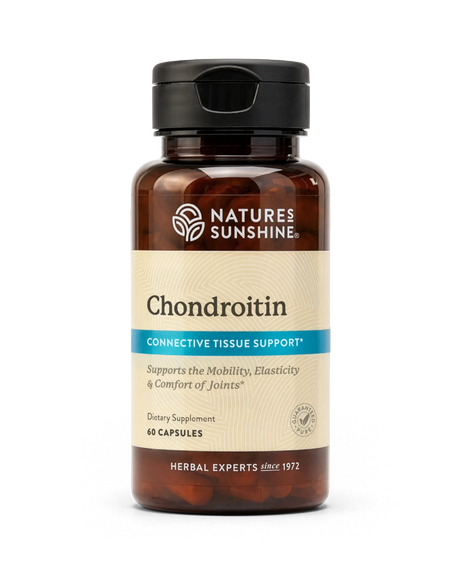 A bottle of Nature's Sunshine Chondroitin dietary supplement with a black cap and amber-brown bottle, on a clean white background.