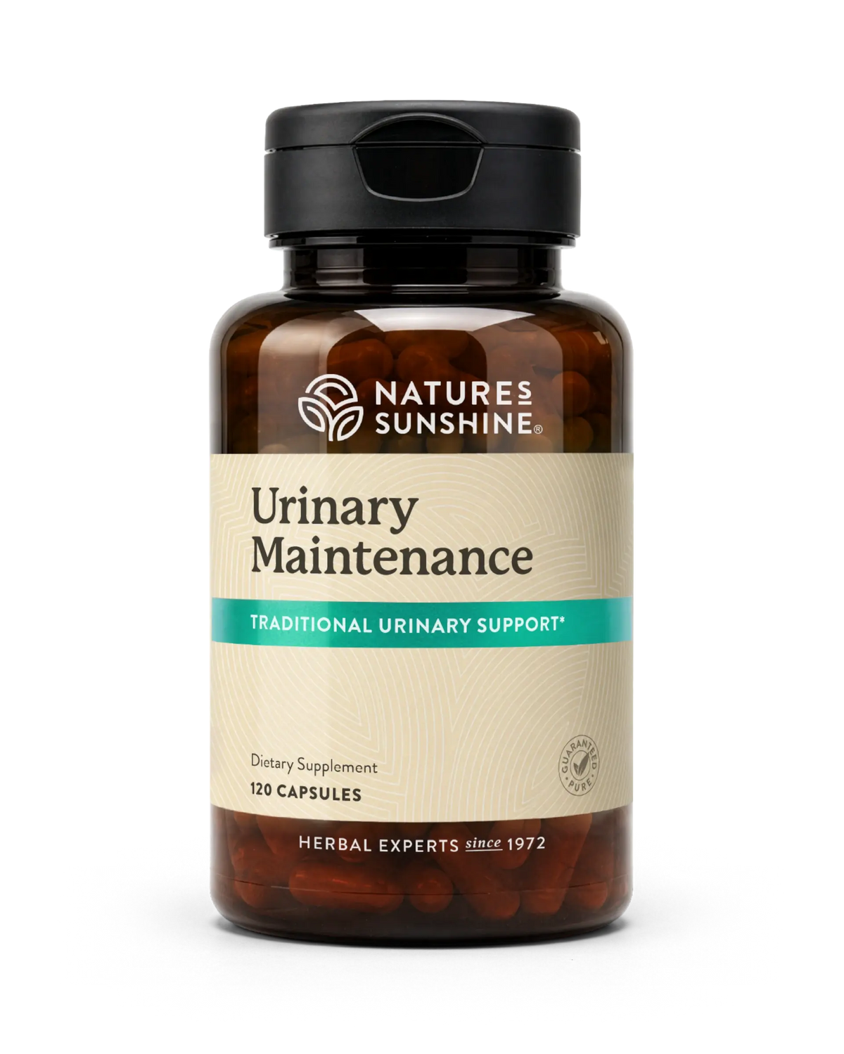 A bottle of Natures Sunshine Urinary Maintenance dietary supplement, featuring an amber brown bottle, black cap, and a beige label with a teal accent band.