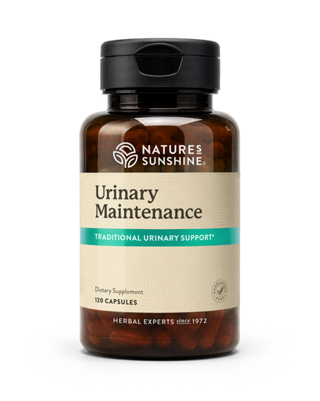 A bottle of Natures Sunshine Urinary Maintenance dietary supplement, featuring an amber brown bottle, black cap, and a beige label with a teal accent band.