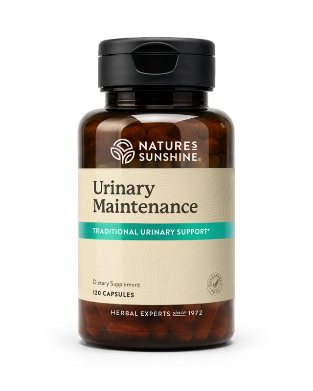 A bottle of Natures Sunshine Urinary Maintenance dietary supplement, featuring an amber brown bottle, black cap, and a beige label with a teal accent band.