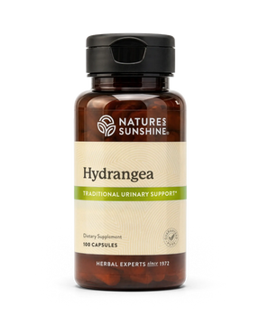 A bottle of Natures Sunshine Hydrangea dietary supplement, 100 capsules, in an amber brown bottle with a black cap and a beige label with green accents.