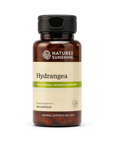 A bottle of Natures Sunshine Hydrangea dietary supplement, 100 capsules, in an amber brown bottle with a black cap and a beige label with green accents.