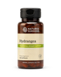 A bottle of Natures Sunshine Hydrangea dietary supplement, 100 capsules, in an amber brown bottle with a black cap and a beige label with green accents.