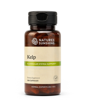 A bottle of Nature's Sunshine Kelp dietary supplement, 100 capsules, featuring an amber brown bottle, black cap, and a beige label with a green accent band.