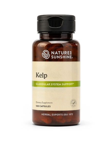 A bottle of Nature's Sunshine Kelp dietary supplement, 100 capsules, featuring an amber brown bottle, black cap, and a beige label with a green accent band.