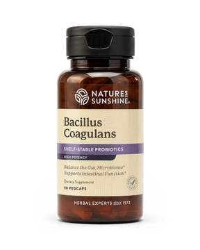 A bottle of Nature's Sunshine Bacillus Coagulans dietary supplement, featuring an amber brown bottle, a black cap, and a beige label with purple accents, set against a plain white background.