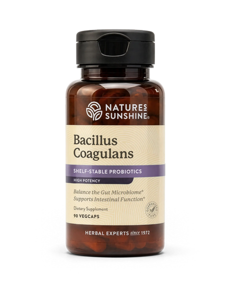 A bottle of Nature's Sunshine Bacillus Coagulans dietary supplement, featuring an amber brown bottle, a black cap, and a beige label with purple accents, set against a plain white background.