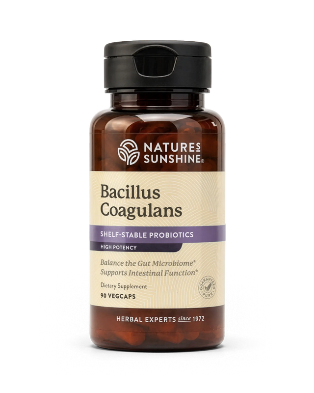 A bottle of Nature's Sunshine Bacillus Coagulans dietary supplement, featuring an amber brown bottle, a black cap, and a beige label with purple accents, set against a plain white background.