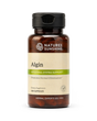 A bottle of Nature's Sunshine Algin dietary supplement with a black cap and a beige label, containing 100 capsules, shown on a white background.