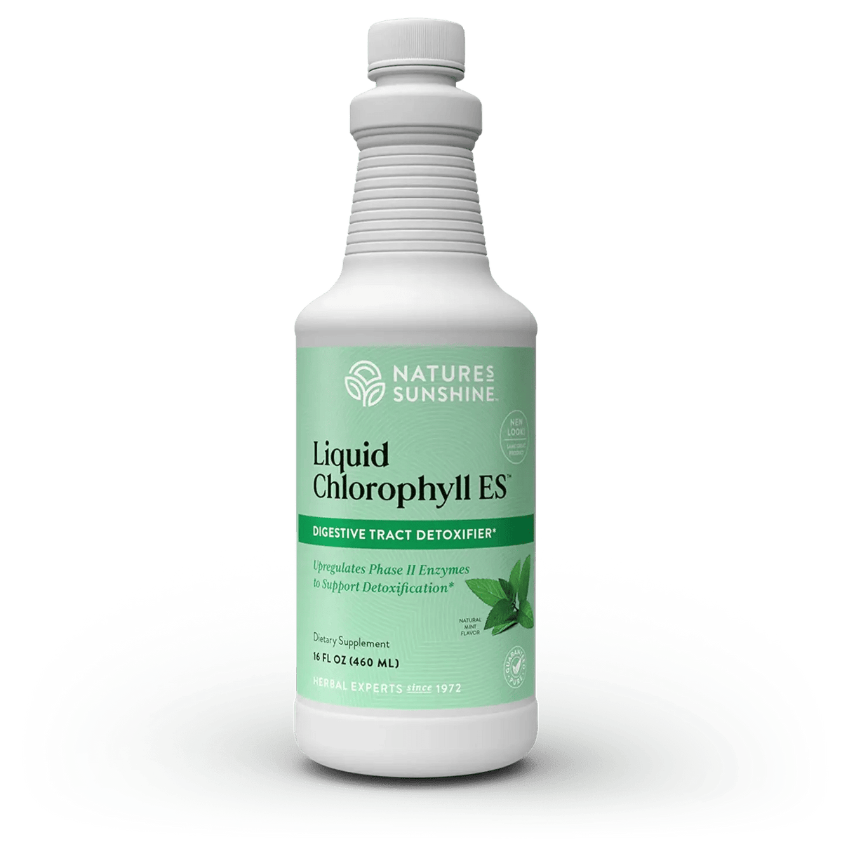 Nature's Sunshine Chlorophyll ES, Liquid (16 fl. oz.) - Nature's Best Health Store