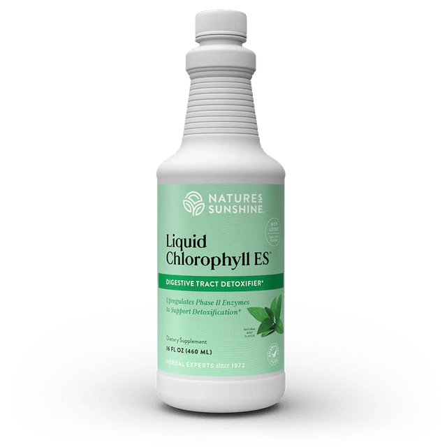 Nature's Sunshine Chlorophyll ES, Liquid (16 fl. oz.) - Nature's Best Health Store