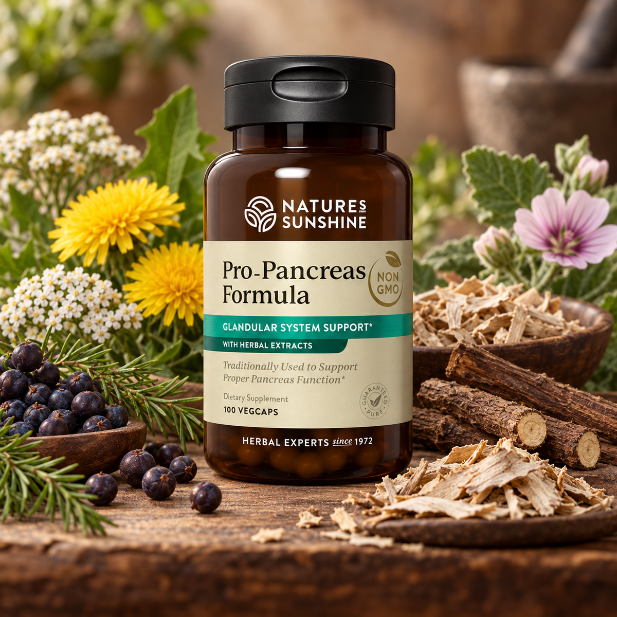 A bottle of Nature's Sunshine Pro-Pancreas Formula dietary supplement, styled on a rustic wooden table surrounded by fresh herbs, flowers, and roots.