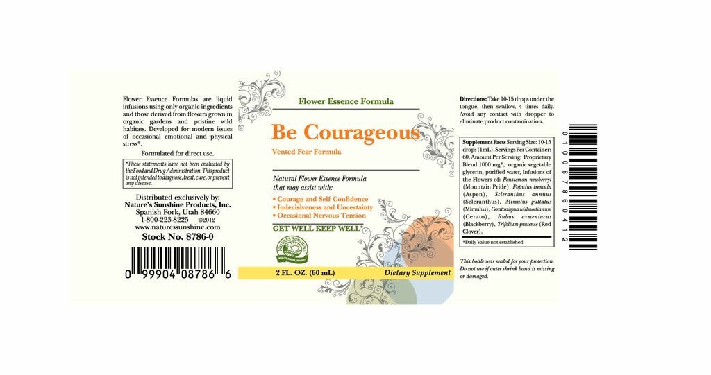 Nature's Sunshine Be Courageous (Vented Fear Formula) (2 fl oz) - Nature's Best Health Store
