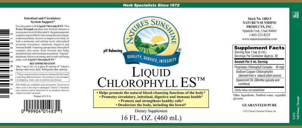 Nature's Sunshine Chlorophyll ES, Liquid (16 fl. oz.) - Nature's Best Health Store