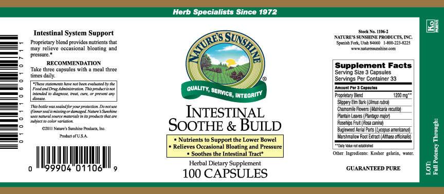 Nature's Sunshine Intestinal Soothe & Build (100 caps) - Nature's Best Health Store