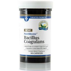 Nature's Sunshine NutriBiome Bacillus Coagulans (90 caps) - Nature's Best Health Store