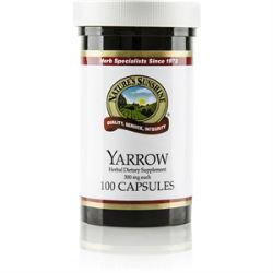 Yarrow (100 caps) - Nature's Best Health Store